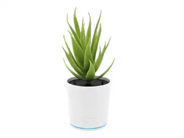 Purificator de aer, Portabil, Indeparteaza mirosurile neplacute si daunatoare, Banda de iluminat LED, Incarcare USB, in forma de Plant Mixt de Aloe, Alb/Verde deschis